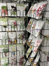 Garden and Flower Seeds