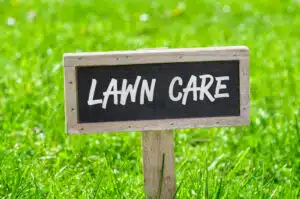Lawn Care Tips