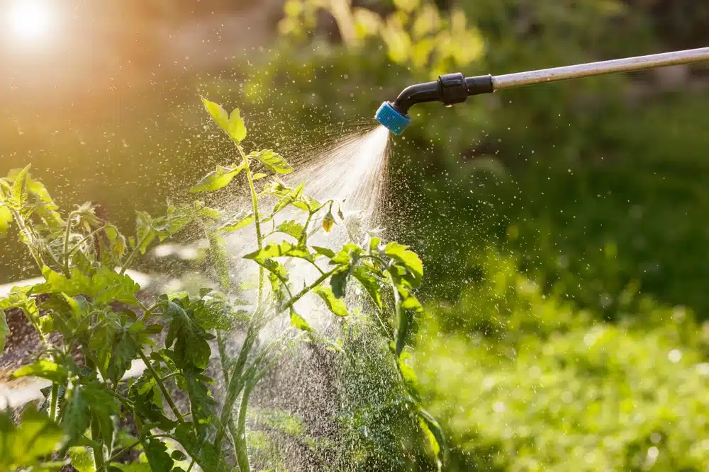 Pest-Free Gardening
