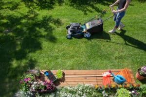 Caring For Your Lawn in The Summer