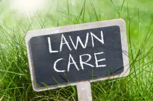 Summer Lawn Care Tips for Utah: Using Great Basin Turf Products for a Lush Lawn