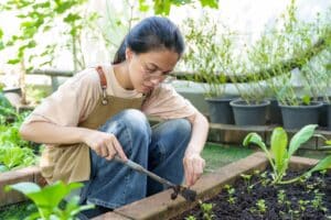 Maintaining Your Vegetable Garden in Utah: A Beginner's Guide