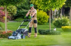 Healthy Lawn