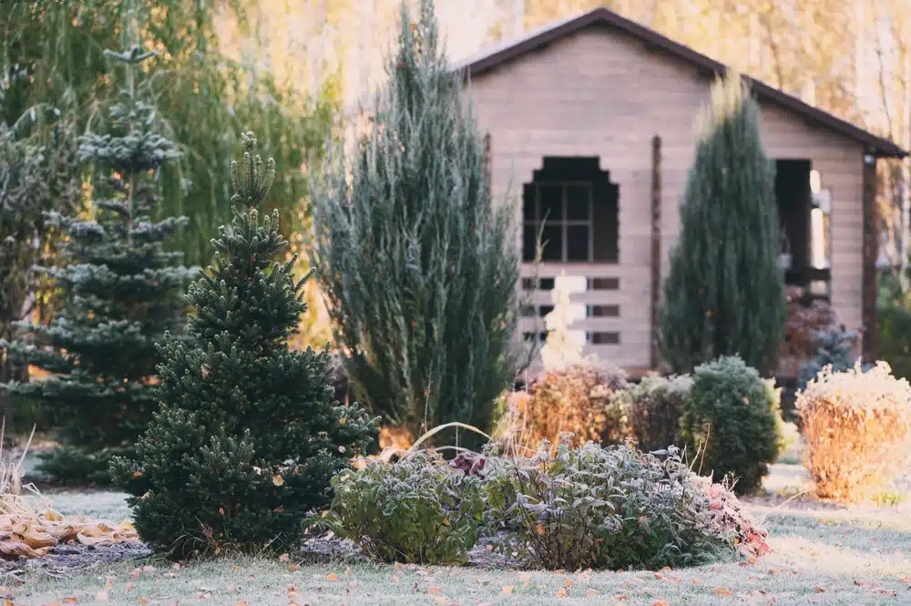 garden winter prep