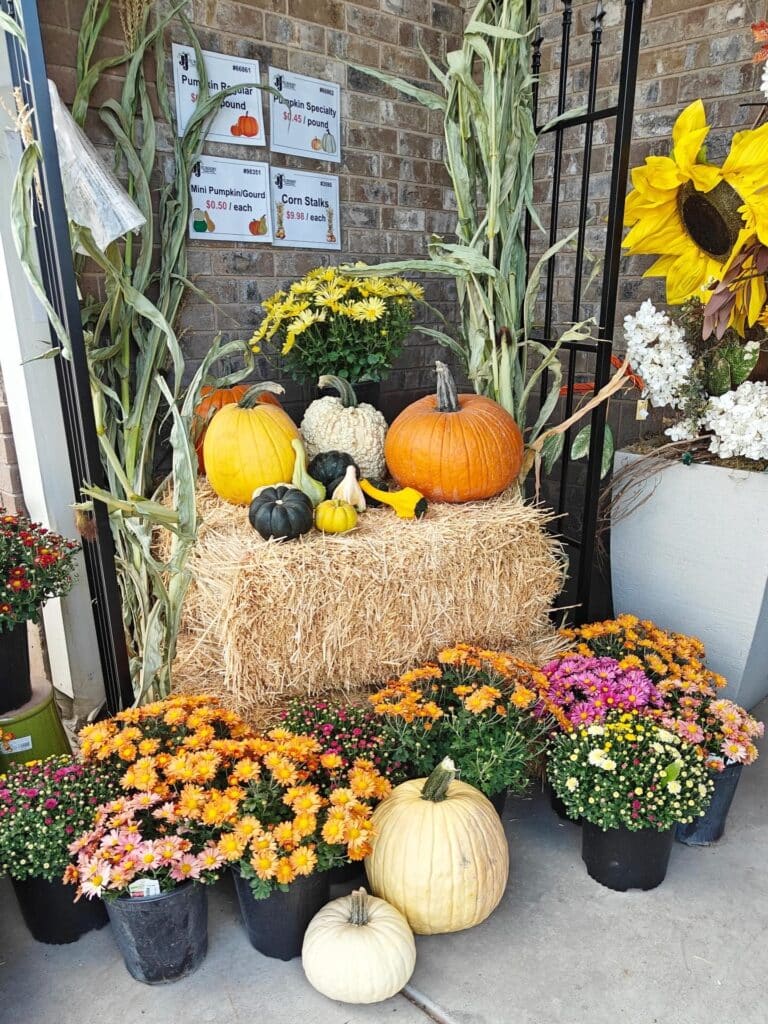 077be7f3 a06d 4e54 a4d1 12fbe096153b