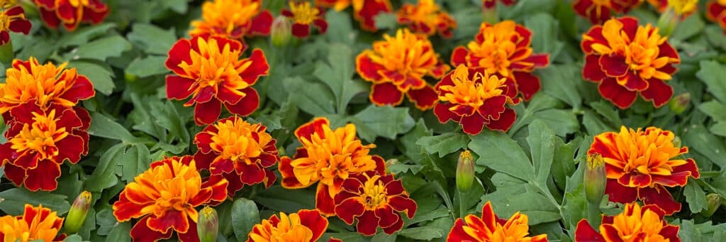 Photo Apr 27, 2 44 47 PM copy