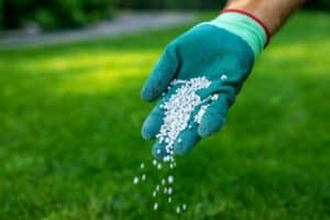 turf fertilizer tips