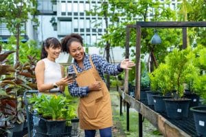 buying trees from nursery