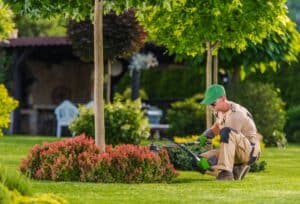 choosing a garden center