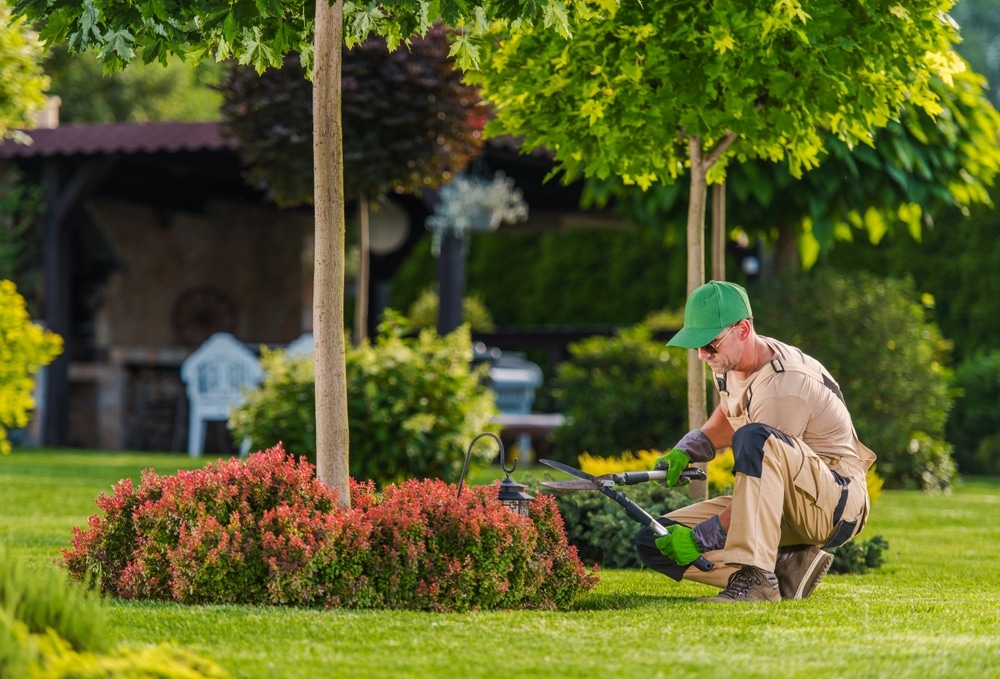 choosing a garden center