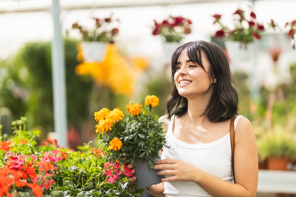 best spring flowers for garden