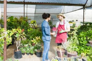 how to choose healthy plants