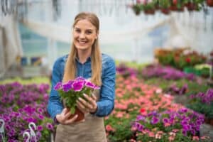 local plant nursery vs big box store