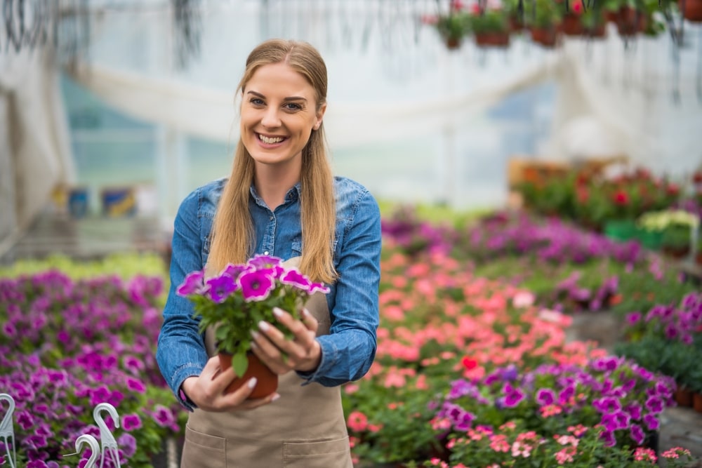 local plant nursery vs big box store