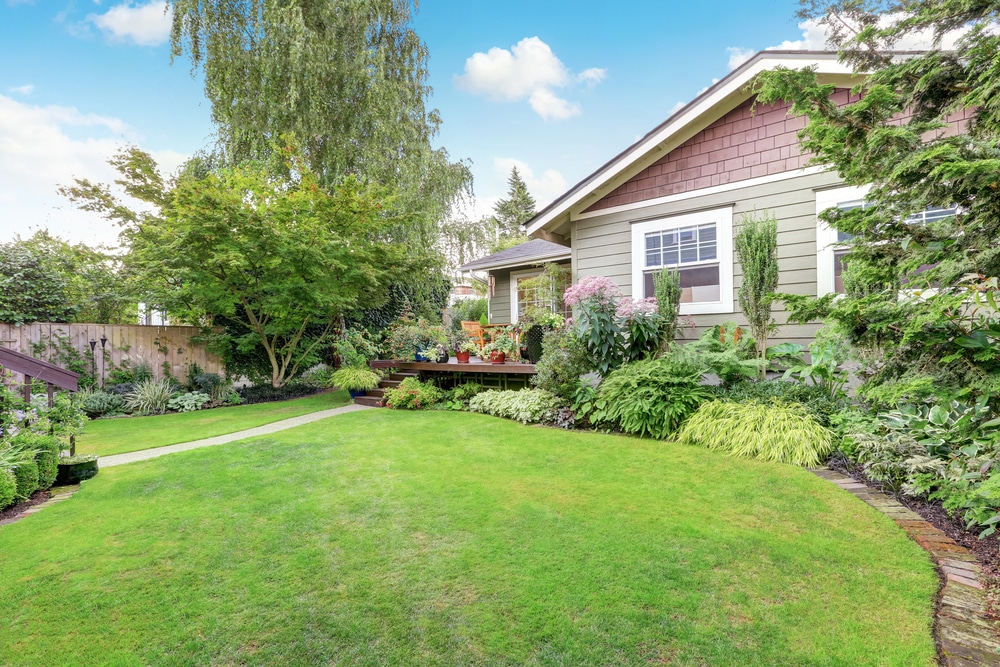 sustainable backyard gardening